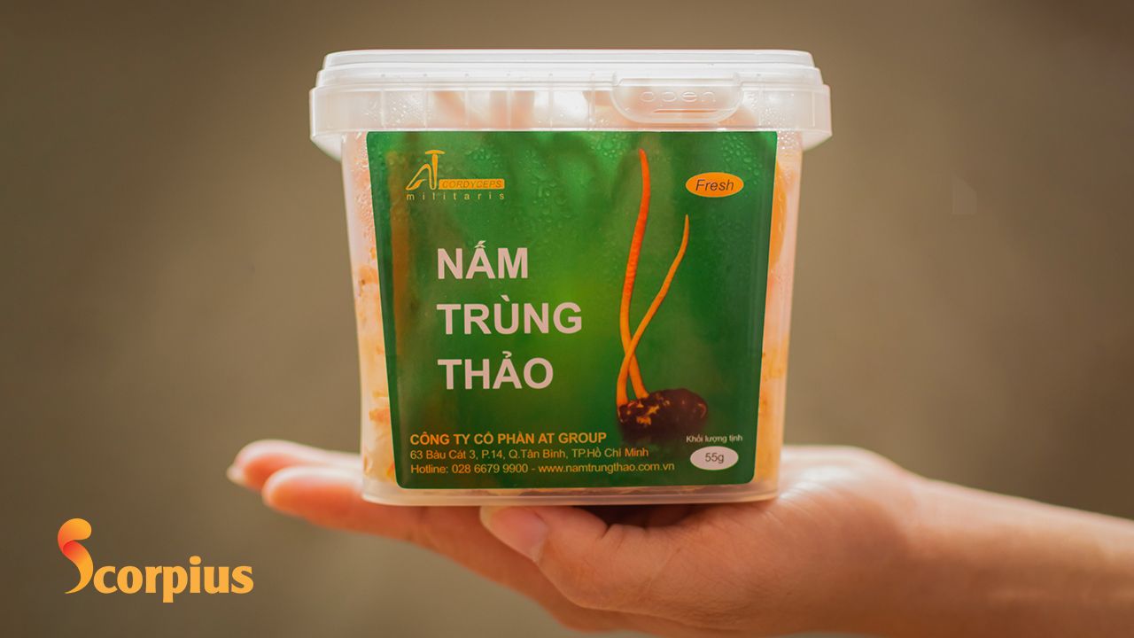 Công dụng nấm trùng thảo